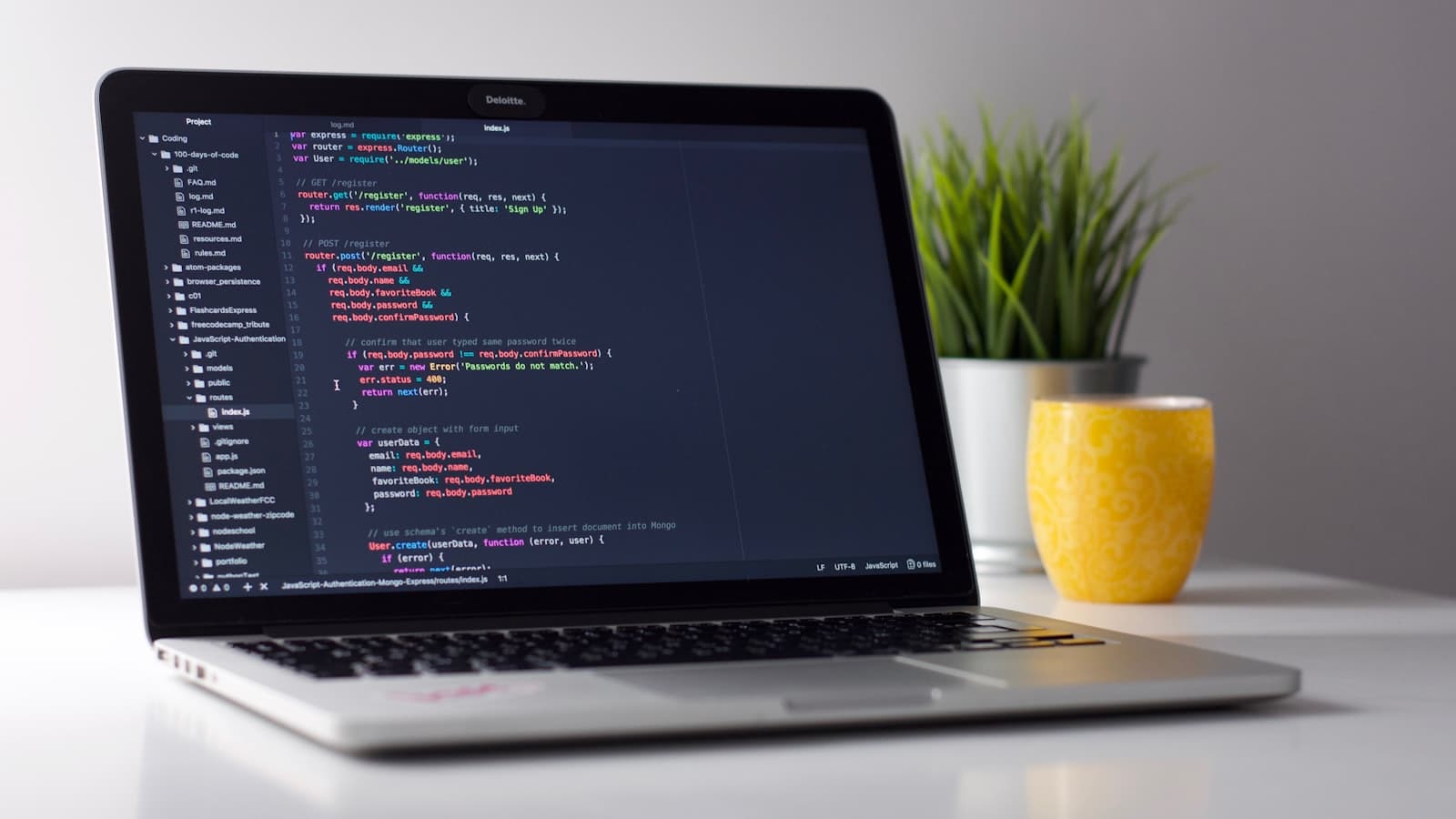 Custom software development and operations services